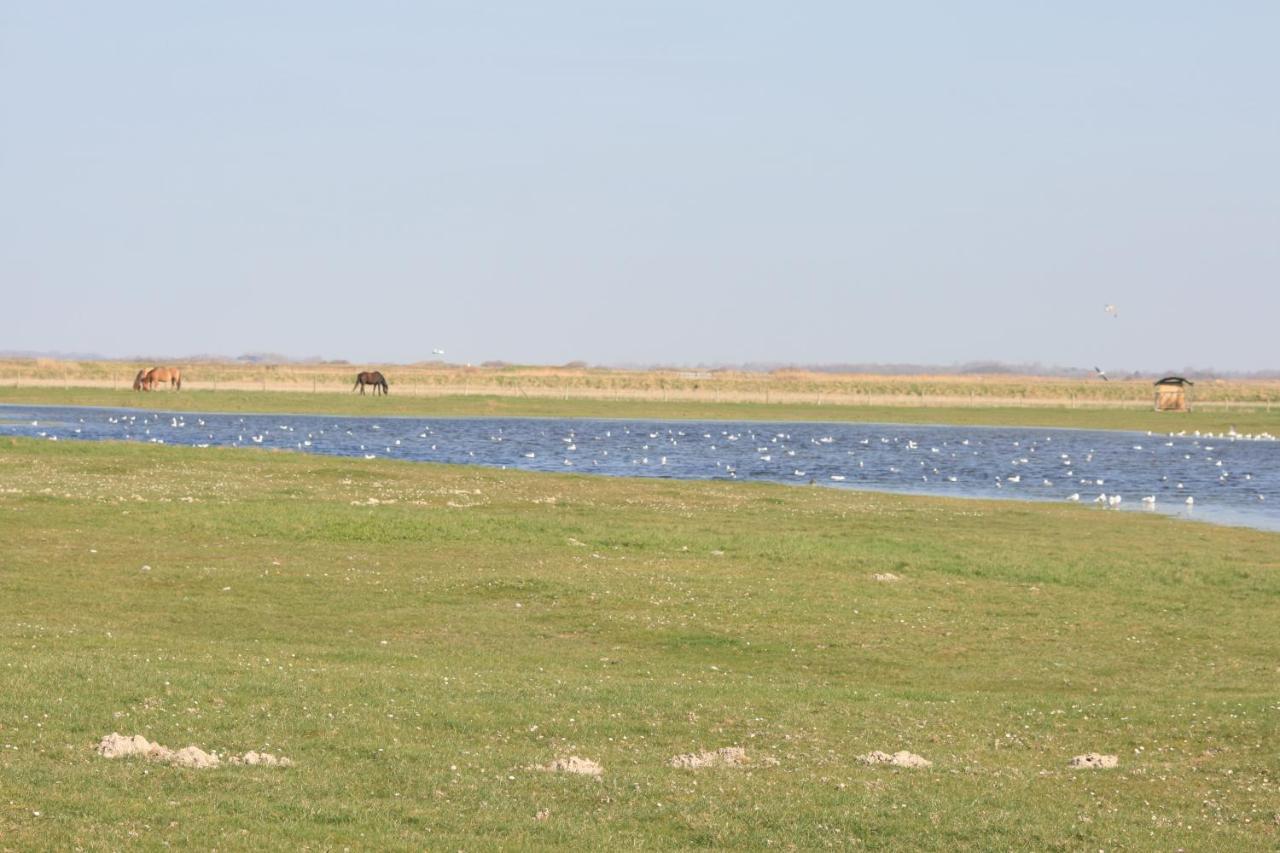 A Cote De La Mer Ault Zewnętrze zdjęcie